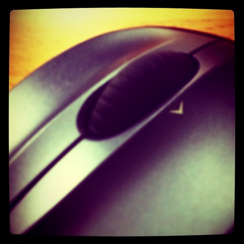 Wireless Ergonomic Mouse 2.4G